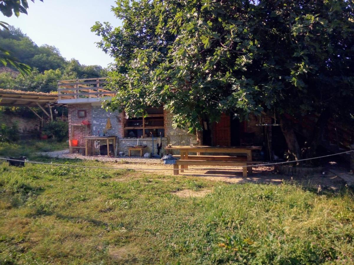 Pellumbas The House In The Village מראה חיצוני תמונה