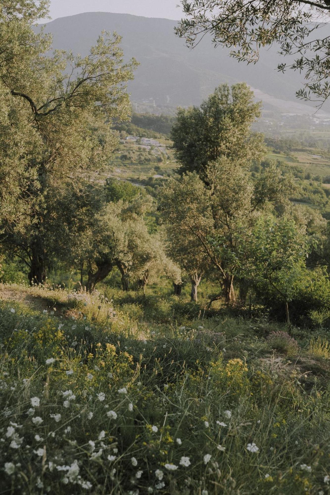 Pellumbas The House In The Village מראה חיצוני תמונה